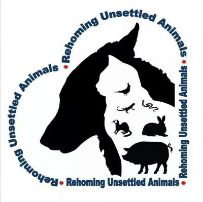 R.ehoming U.nsettled A.nimals - Pet Shelter and Rescue in Gurley, Alabama