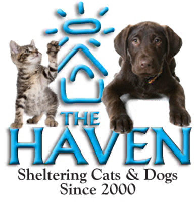 The Haven - Pet Shelter and Rescue in Fairhope, Alabama