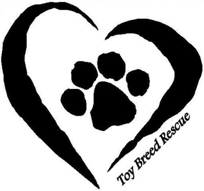 Toy Breed Rescue - Pet Shelter and Rescue in Anniston, Alabama