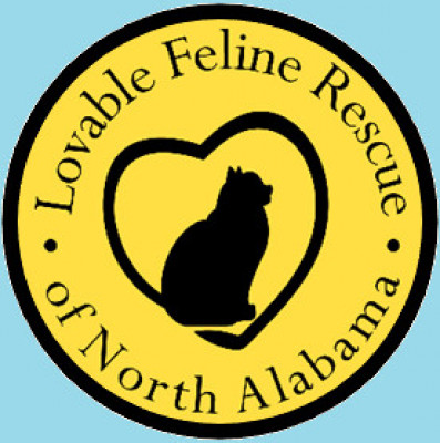 Lovable Feline Rescue Of North Alabama - Pet Shelter and Rescue in Huntsville, Alabama