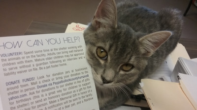 Bullock County Humane Society - Pet Shelter and Rescue in Union Springs, Alabama