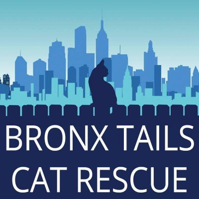 Bronx Tails Cat Rescue - Pet Shelter and Rescue in New York, New York