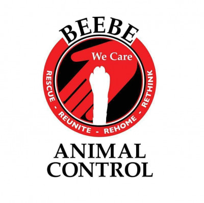 Beebe Animal Services - Pet Shelter and Rescue in Beebe, Arkansas