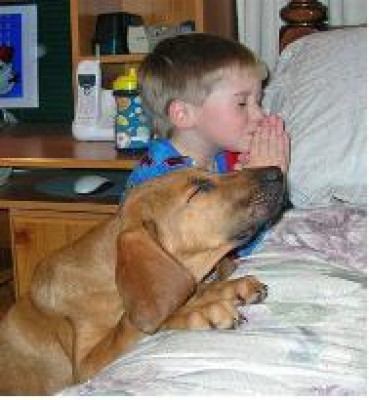 Arkansas Southern Dog Rescue - Pet Shelter and Rescue in Ward, Arkansas