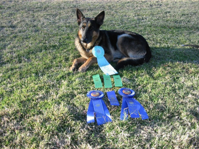 Arizona K9 Rescue - Pet Shelter and Rescue in Litchfield Park, Arizona