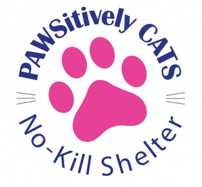 Pawsitively Cats - Pet Shelter and Rescue in Tucson, Arizona