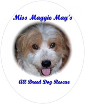 Miss Maggie May