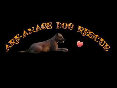 Arf-Anage Dog Rescue - Pet Shelter and Rescue in Phoenix, Arizona