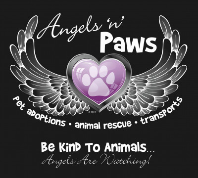 Angels N Paws - Pet Shelter and Rescue in Rancho Cucamonga, California
