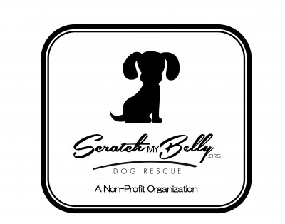 Scratch My Belly - Pet Shelter and Rescue in Rancho Santa Fe, California