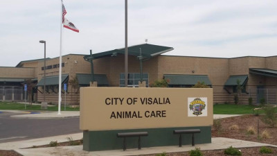 Visalia Animal Care Center - Pet Shelter and Rescue in Visalia, California