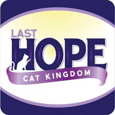 Last Hope Cat Kingdom - Pet Shelter and Rescue in Atwater, California