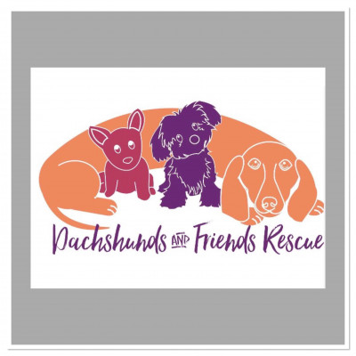 Dachshunds And Friends Rescue - Pet Shelter and Rescue in Burbank, California