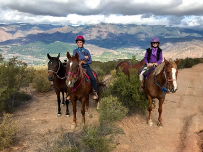 Hoofs And Woofs Animal Rescue - Pet Shelter and Rescue in Valley Center, California