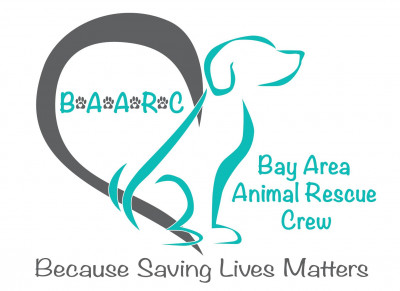 Bay Area Animal Rescue Crew - Pet Shelter and Rescue in Concord, California