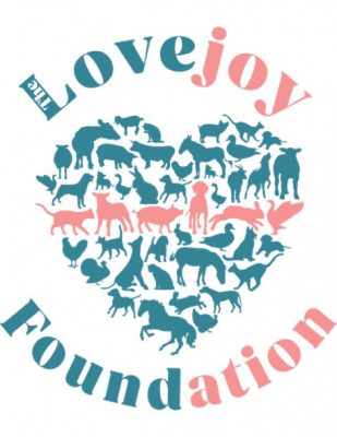 The Lovejoy Foundation Inc./Facility Clubhouse - Pet Shelter and Rescue in Inglewood, California