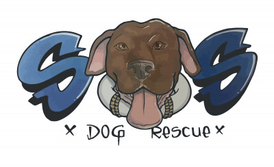 Strength Of Shadow Dog Rescue - Pet Shelter and Rescue in Bodfish, California