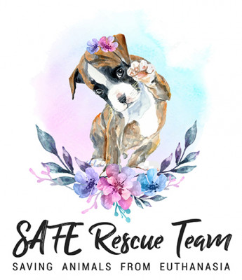 SAFE Rescue Team - Pet Shelter and Rescue in Huntington Beach, California
