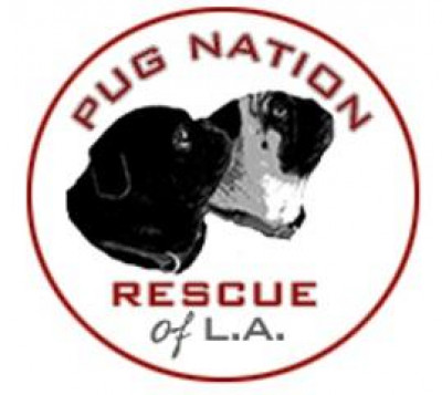 Pug Nation Rescue Of LA - Pet Shelter and Rescue in Gardena, California