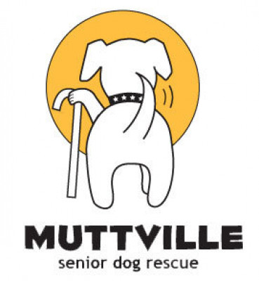 Muttville Senior Dog Rescue - Pet Shelter and Rescue in San Francisco, California