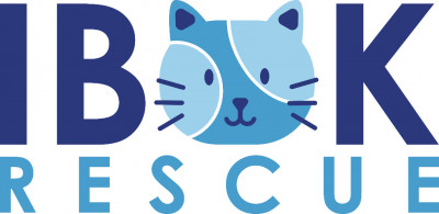 Itty Bitty Orphan Kitty Rescue - Pet Shelter and Rescue in Campbell, California