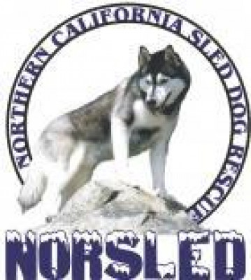 Northern California Sled Dog Rescue (NorSled) - Pet Shelter and Rescue in Walnut Creek, California