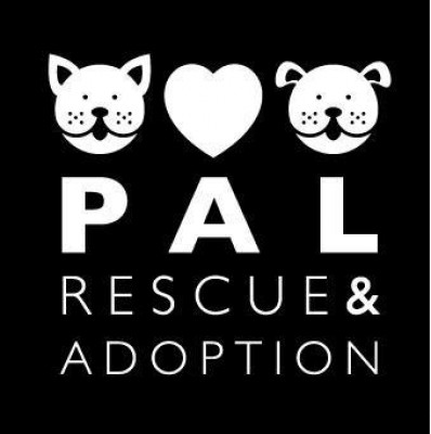 PAL Rescue & Adoption - Pet Shelter and Rescue in El Segundo, California