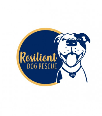 Resilient Dog Rescue  - Pet Shelter and Rescue in Rocklin, California