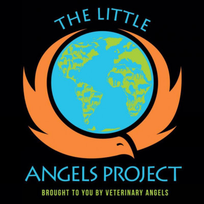 The Little Angels Project - Pet Shelter and Rescue in Agoura Hills, California