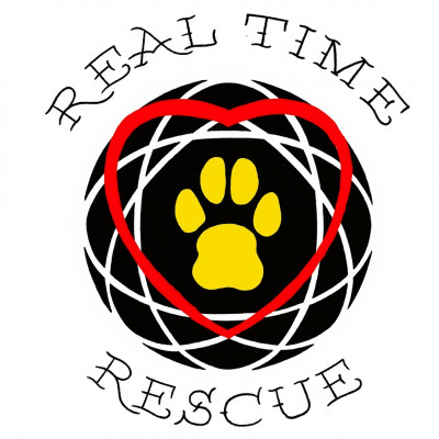 Real Time Rescue - Pet Shelter and Rescue in Twentynine Palms, California