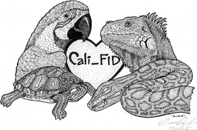 Cali_FID Parrot & Exotics Rescue Sanctuary - Pet Shelter and Rescue in Modesto, California