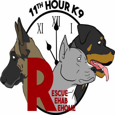 11th Hour K9 Rescue Rehab And Rehome - Pet Shelter and Rescue in Vallejo, California