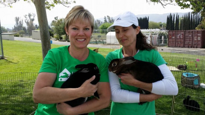 Lucky Bunny Rabbit Rescue - Pet Shelter and Rescue in Murrieta, California