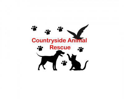 Countryside Rescue & Adoption Center - Pet Shelter and Rescue in Santa Rosa, California