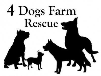 4 Dogs Farm Rescue - Pet Shelter and Rescue in San Francisco, California
