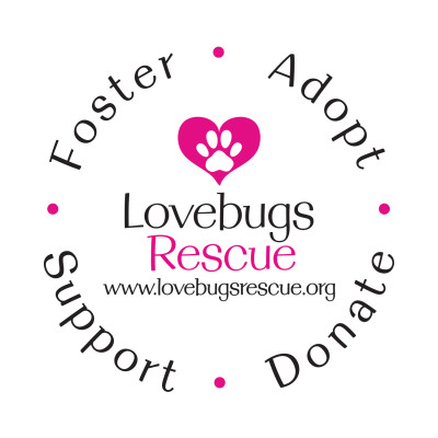 Lovebugs Rescue - Pet Shelter and Rescue in Newport Beach, California