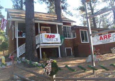 ARF - Animal Rescue Friends/Idyllwild - Pet Shelter and Rescue in Idyllwild-Pine Cove, California