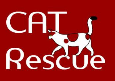 Cat Allies Of Texas Rescue - Pet Shelter and Rescue in Fischer, Texas