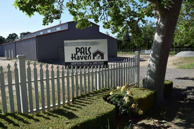 PALS Haven - Pet Shelter and Rescue in Lodi, California