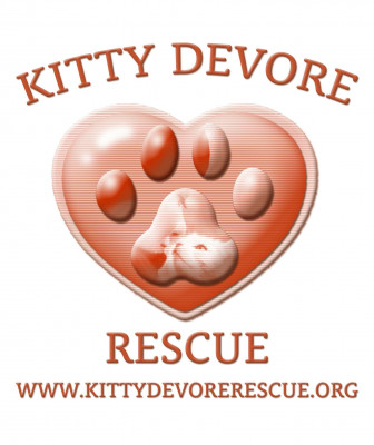 Kitty Devore Rescue - Pet Shelter and Rescue in Long Beach, California
