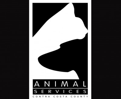 Contra Costa County Animal Services Department - Pet Shelter and Rescue in Martinez, California
