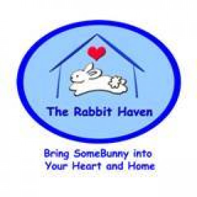 The Rabbit Haven - Pet Shelter and Rescue in Santa Cruz, California
