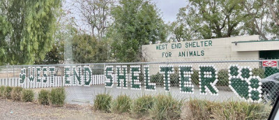 West End Shelter For Animals - Pet Shelter and Rescue in Ontario, California