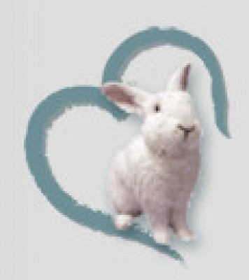 Bunny Bunch Rabbit Rescue - Pet Shelter and Rescue in Montclair, California