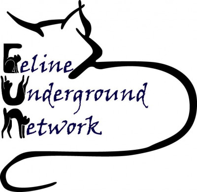 Feline Underground Network - Pet Shelter and Rescue in Los Angeles, California