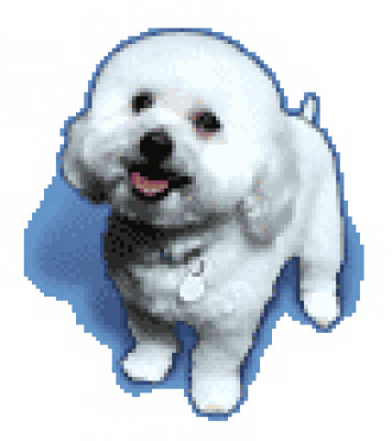 Bichons And Buddies - Pet Shelter and Rescue in Los Angeles, California