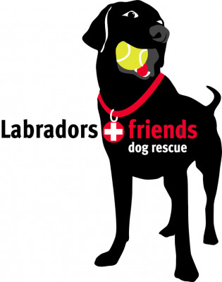 Labradors And Friends Dog Rescue Group - Pet Shelter and Rescue in San Diego, California