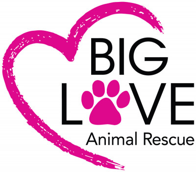 Big Love Animal Rescue - Pet Shelter and Rescue in Los Angeles, California
