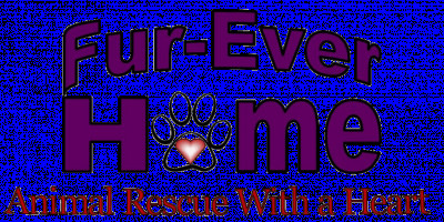 Fur-Ever Home - Pet Shelter and Rescue in San Clemente, California