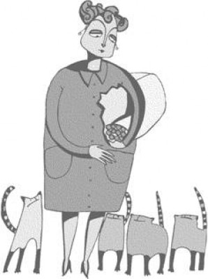 South Bay Cats - Pet Shelter and Rescue in Los Angeles, California